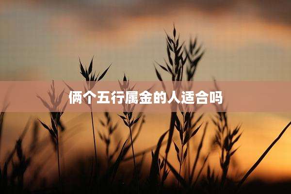 俩个五行属金的人适合吗