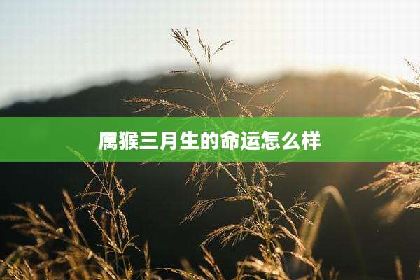 属猴三月生的命运怎么样