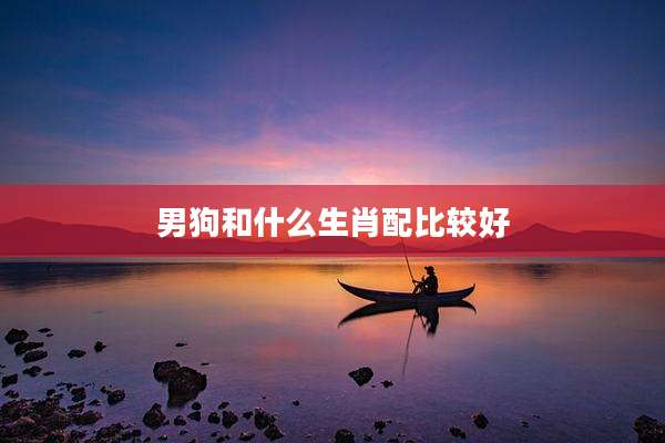 男狗和什么生肖配比较好