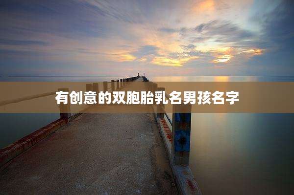 有创意的双胞胎乳名男孩名字