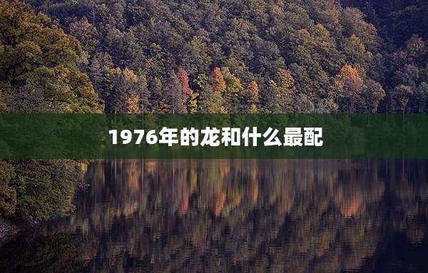 1976年的龙和什么最配