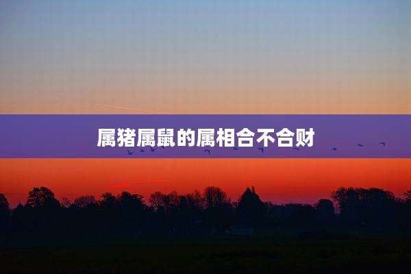 属猪属鼠的属相合不合财