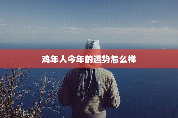 鸡年人今年的运势怎么样