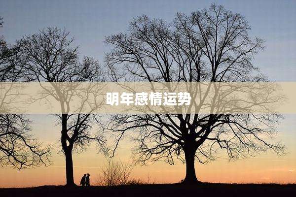 明年感情运势