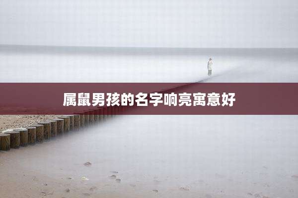 属鼠男孩的名字响亮寓意好