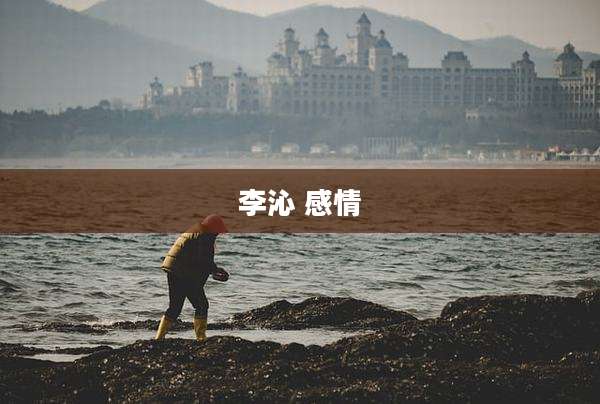 李沁 感情