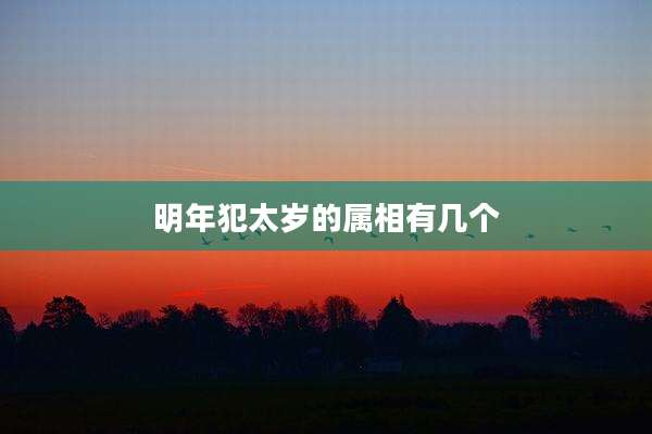 明年犯太岁的属相有几个