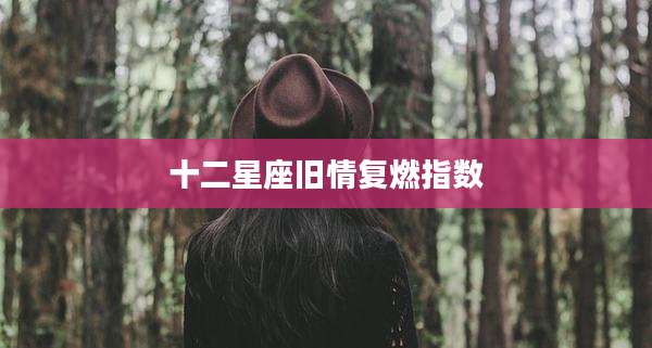 十二星座旧情复燃指数