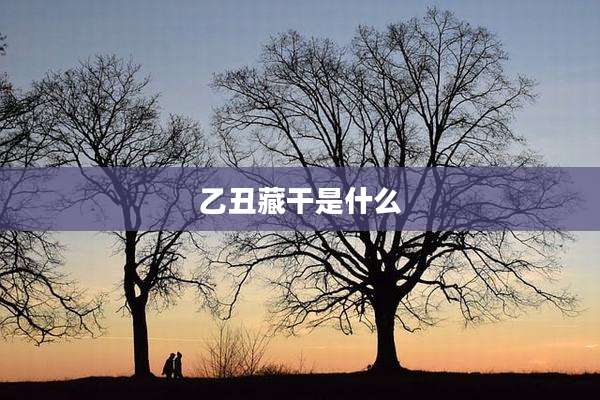 乙丑藏干是什么