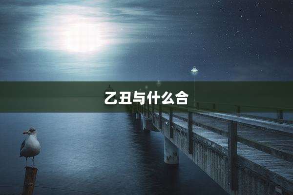 乙丑与什么合