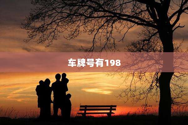 车牌号有198