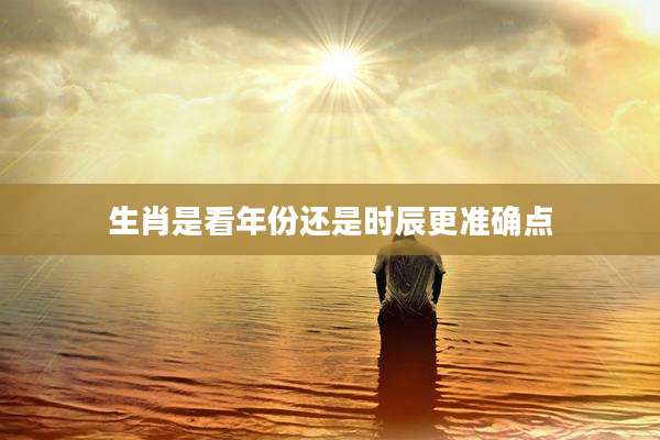 生肖是看年份还是时辰更准确点