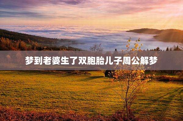 梦到老婆生了双胞胎儿子周公解梦