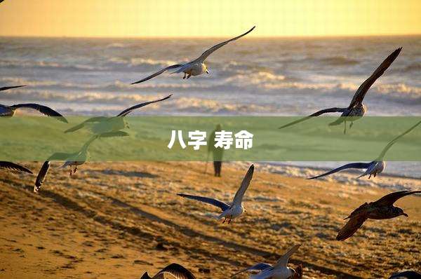 八字 寿命