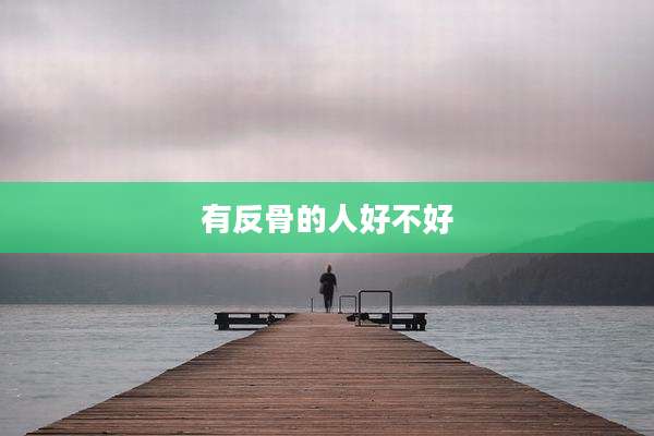 有反骨的人好不好