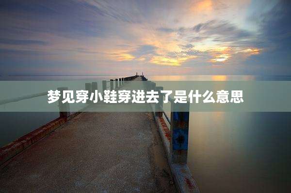 梦见穿小鞋穿进去了是什么意思