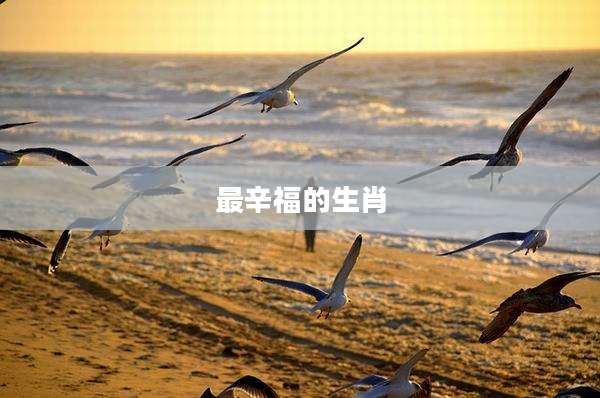 最辛福的生肖