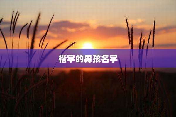 楷字的男孩名字
