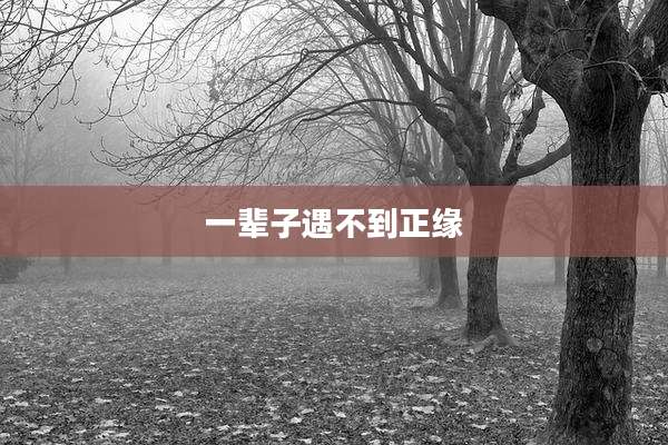一辈子遇不到正缘