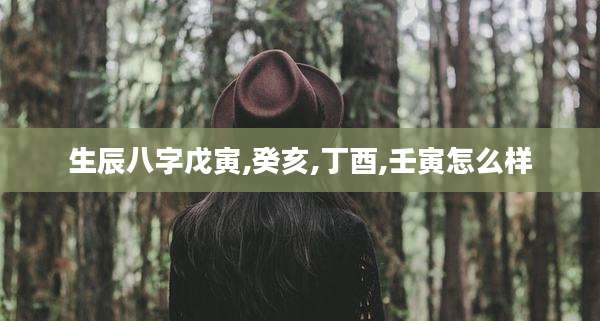 生辰八字戊寅,癸亥,丁酉,壬寅怎么样