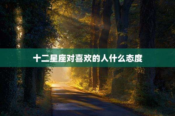 十二星座对喜欢的人什么态度