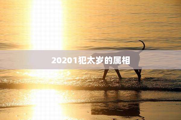 20201犯太岁的属相