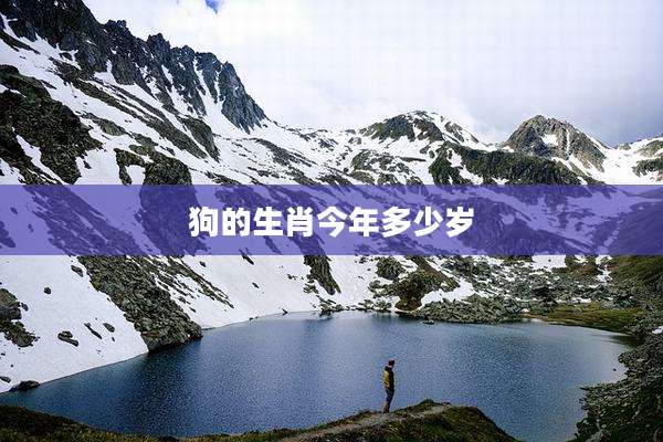 狗的生肖今年多少岁