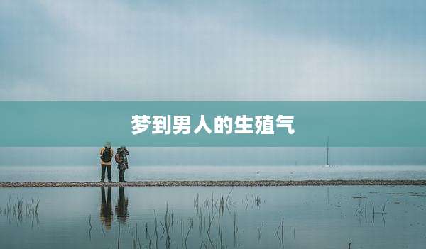 梦到男人的生殖气