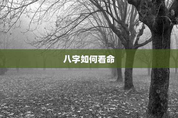 八字如何看命
