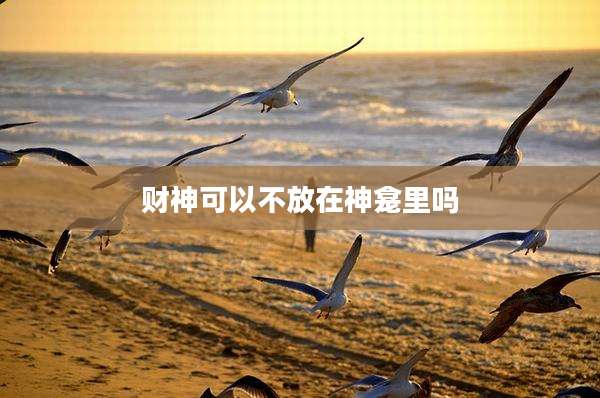 财神可以不放在神龛里吗