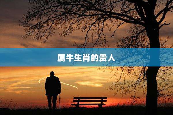 属牛生肖的贵人