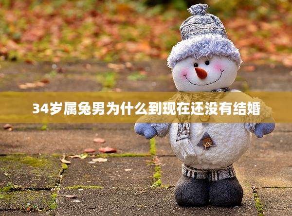 34岁属兔男为什么到现在还没有结婚