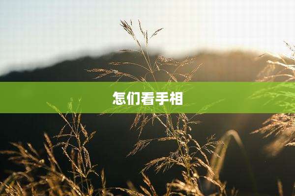 怎们看手相