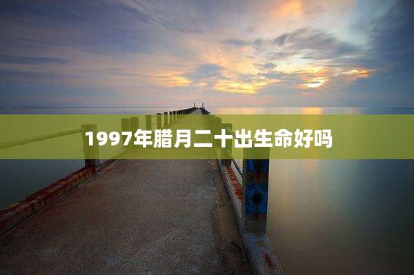 1997年腊月二十出生命好吗