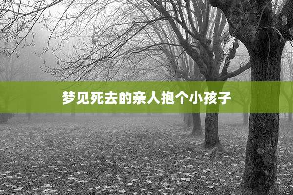 梦见死去的亲人抱个小孩子