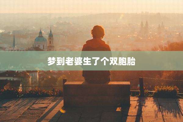 梦到老婆生了个双胞胎