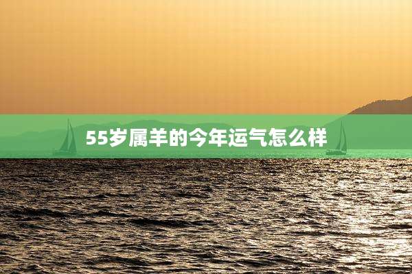 55岁属羊的今年运气怎么样