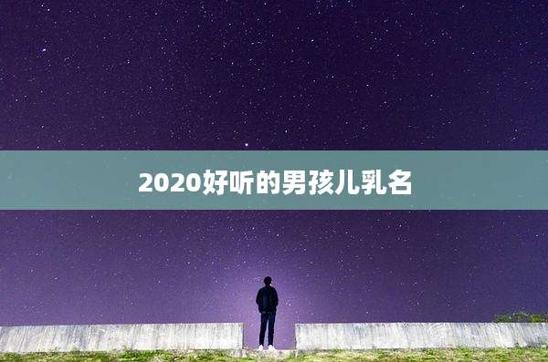 2020好听的男孩儿乳名