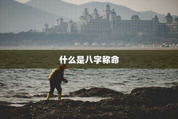 什么是八字称命