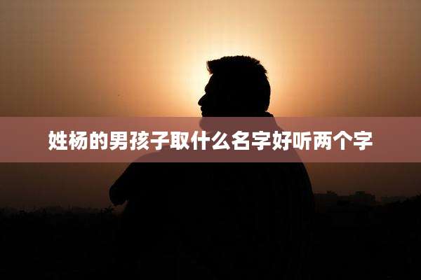 姓杨的男孩子取什么名字好听两个字