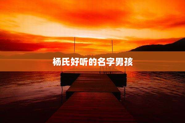 杨氏好听的名字男孩