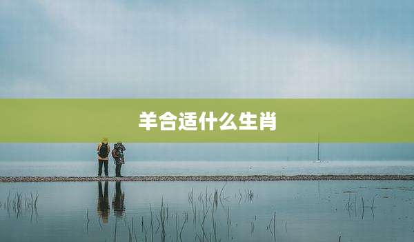 羊合适什么生肖