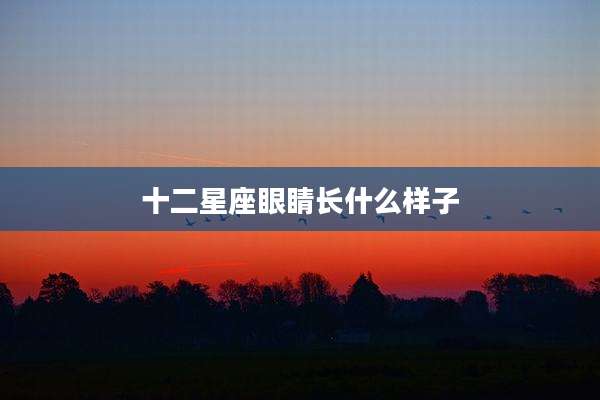 十二星座眼睛长什么样子