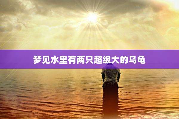 梦见水里有两只超级大的乌龟