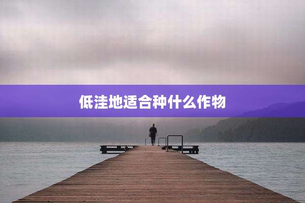 低洼地适合种什么作物