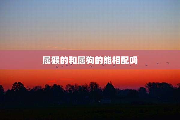 属猴的和属狗的能相配吗