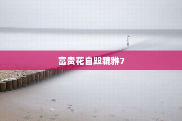 富贵花自毁貔貅7