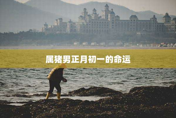 属猪男正月初一的命运