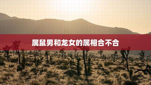 属鼠男和龙女的属相合不合