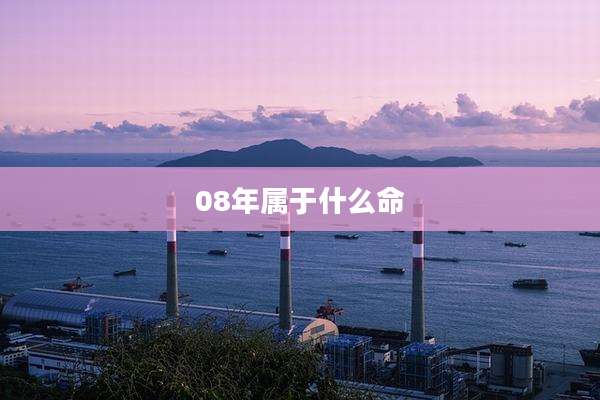 08年属于什么命
